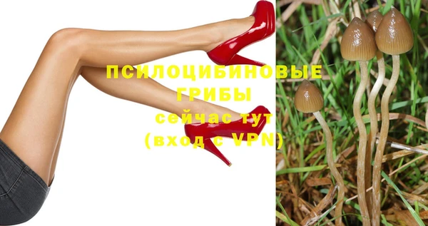 кокаин премиум Богородицк