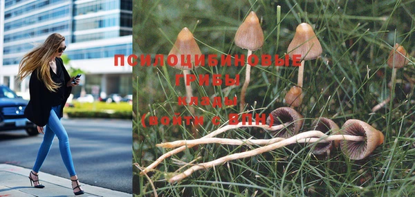 кокаин колумбия Богданович