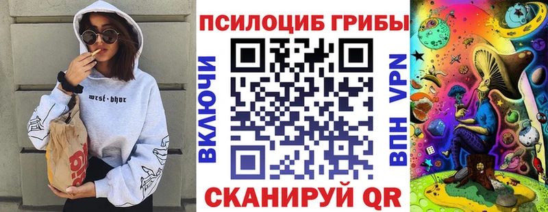 где продают   Черняховск  Галлюциногенные грибы мицелий 
